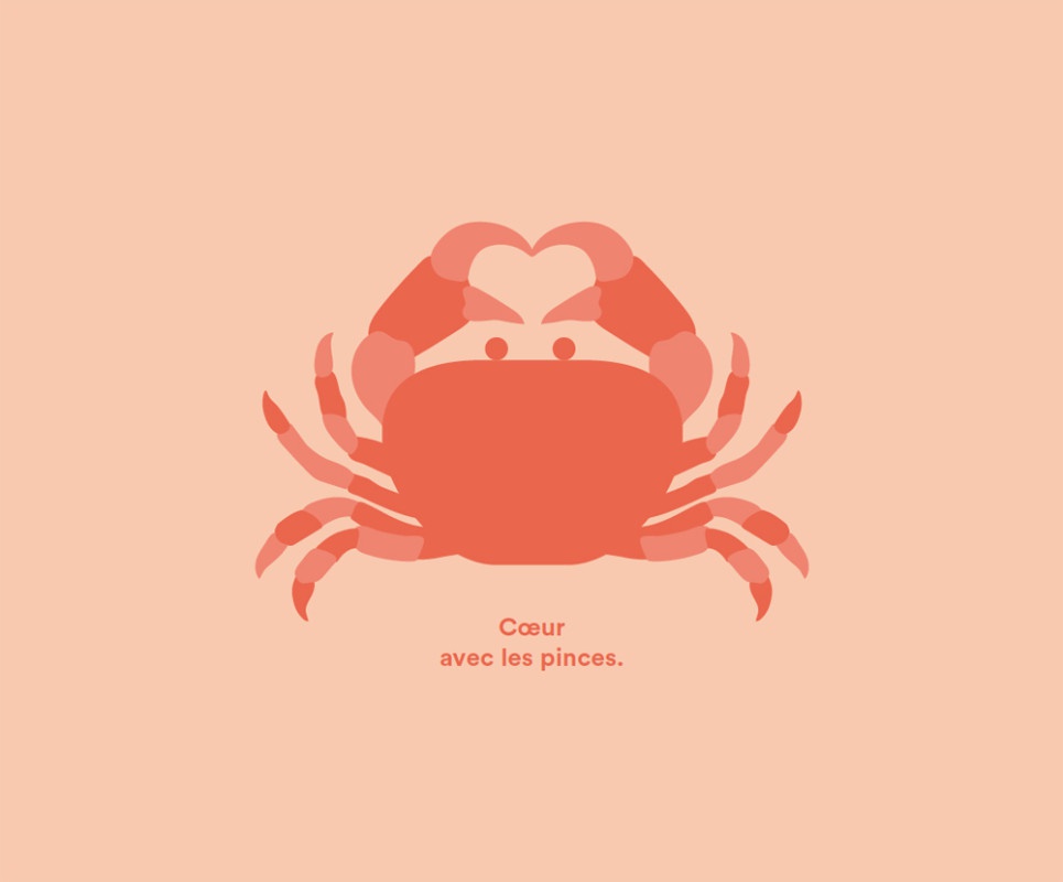 illustration laurence bentz crabe.jpg - Laurence BENTZ | Virginie